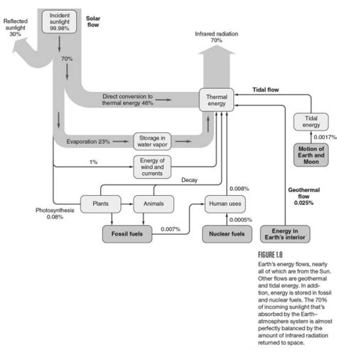 Human Energy Consumption and Water Power | Free Essay Example