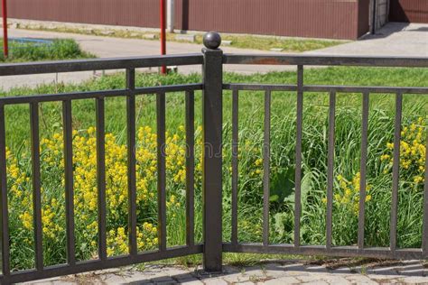 Part of a Black Iron Decorative Fence with a Wrought Iron Pattern Stock ...