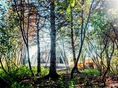 Government - MyHealthNB has expanded. If you haven’t logged in for a