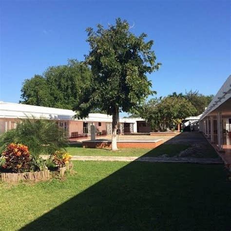 Colegio Peninsular Rogers Hall ⭐ Planes Y Costos Kidsin