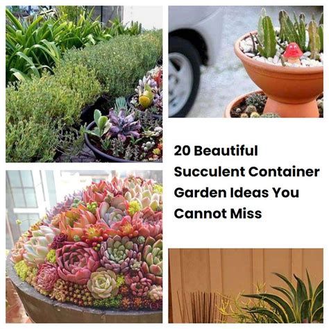 20 Beautiful Succulent Container Garden Ideas You Cannot Miss Sharonsable