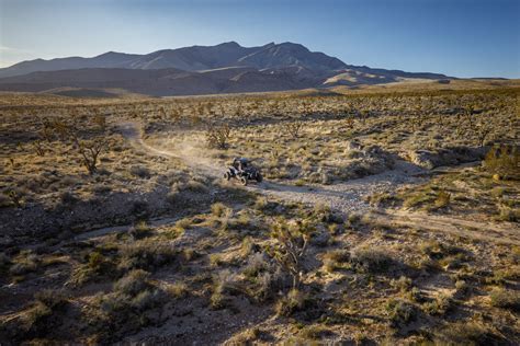 Secrets revealed inside the exclusive las vegas mojovillage resort 18