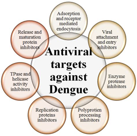 Vaccines | Free Full-Text | Tracing down the Updates on Dengue Virus ...