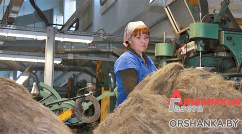 На Оршанский льнокомбинат с льнозаводов республики начали поставлять ...