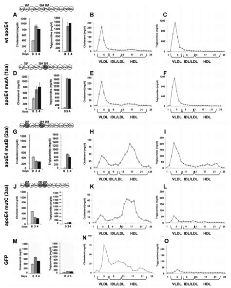 Plasma Cholesterol And Triglyceride Levels And Fplc Profiles Of Apoe