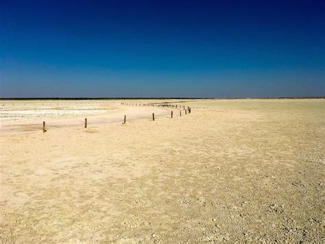 Café Géo: Climate change and the anthropocene – Périscope