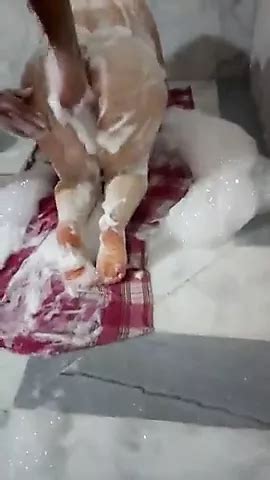 Turkish Hamam Amateur Porn XHamster