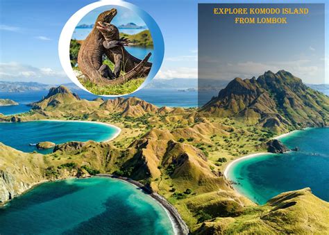 Komodo Trip Lombok Plores 4D/3N - Rinjani Hero