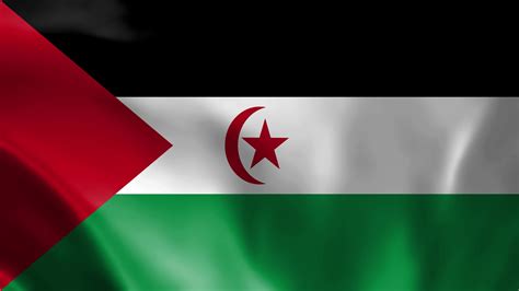 Sahrawi Arab Democratic Republic Waving Flag Seamless Loop Animation