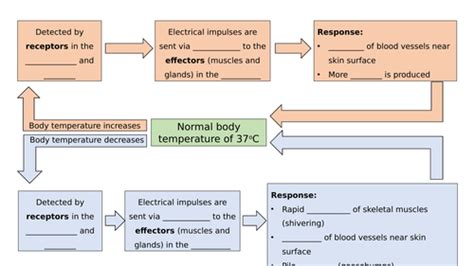 Aqa Gcse Biology Thermoregulation Teaching Resources
