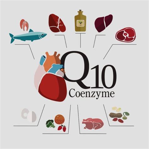 Q10 - Erklärung & Bedeutung in der Kosmetik