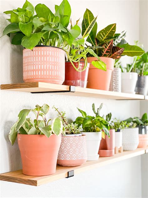 Master Bedroom Floating Plant Shelves Sprucing Up Mamahood