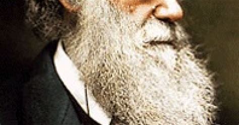 evolutionary psychology     wrong psychology today