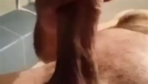 Aaaa Nude Pics Xhamster