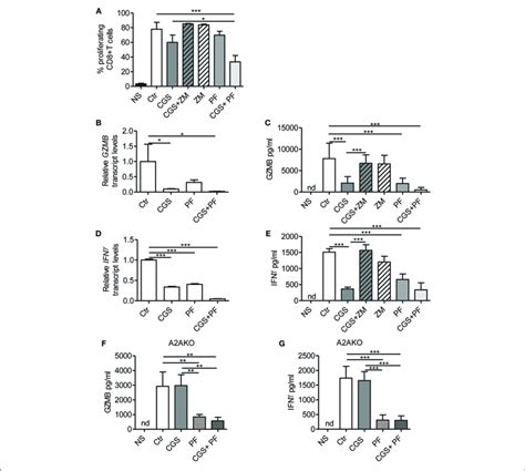 A2ar Stimulation And γ Secretase Inhibition Decrease Cd8t Cell