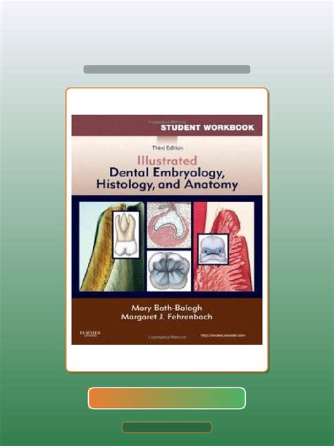 Illustrated Dental Embryology Histology And Anatomy 3e