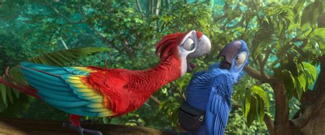 Рио – Telegraph