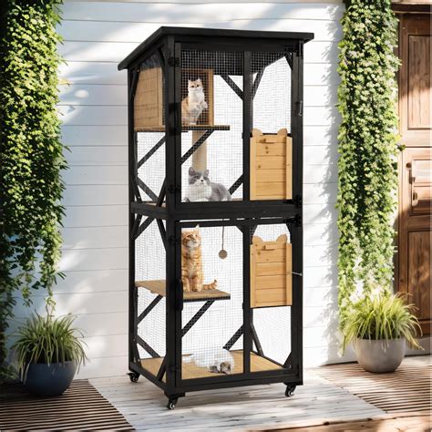 catios for outdoor cats 4