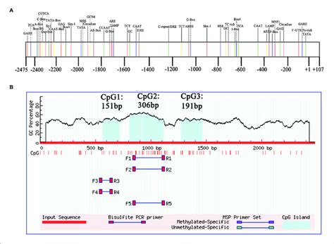 | (A) Structure analysis and (B) CpG islands prediction of EjGIF1 ...