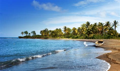 Viaggia insieme a noi alla scoperta delle origini del caffè |COFF-E