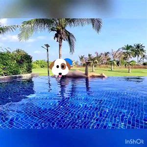 Watch meinv 女Meinv Meinvitoputaaaxx Amateur Porn SpankBang