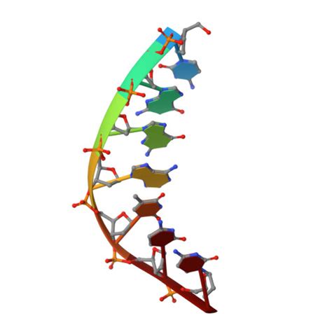 Rcsb Pdb Ilh The Crystal Structure Of Dg Se Sp Dna Pol X Product