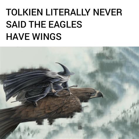The real reason they couldn't use the eagles to fly to Mordor... : r