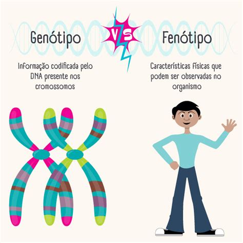 O Que Sao Fenotipos - Exemplos De Fenotipos Fenotipo
