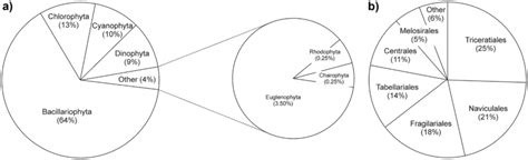 Relative Abundances Of A Phytoplankton Phyla And B Orders In The