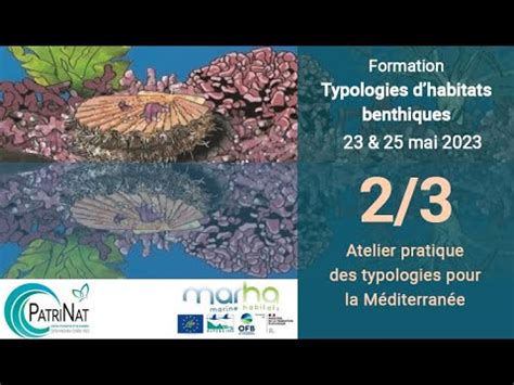 Formation Typologies D Habitats Benthiques Marins Atelier