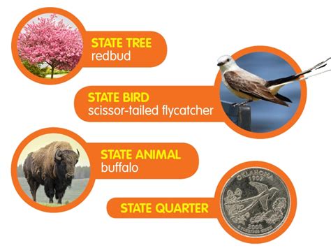 Oklahoma State Funny