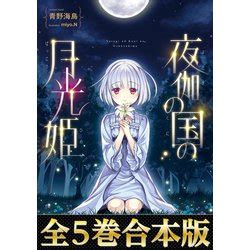 Cover for Moonlight Princess of the Land of Nighttime Gatherings