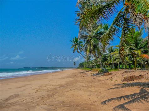 India Goa Vagator Beach Stock Photo Image Of Remote Bahrat 12073816