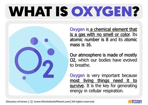 oxygen definition  oxygen