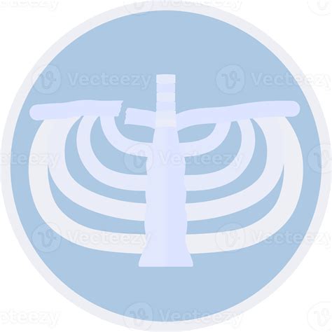 X ray of broken clavicle. Fracture scanning. 24817247 PNG