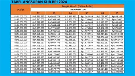 Brosur KUR BRI 2024, Pinjaman BRI Bunga Rendah 0,5 Persen/bln Update 18 ...