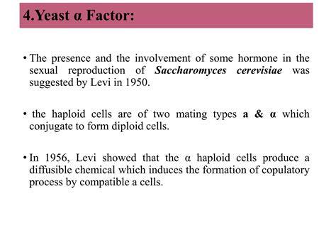 Sex Hormones In Fungi Pptx