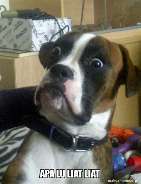 lu liat liat skeptical dog meme generator