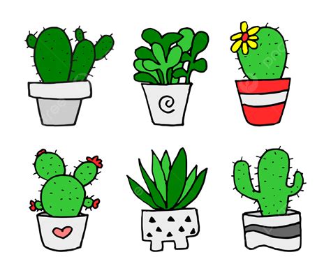 Planta De Cactus Vector Png Dibujos Plantas Cactus Planta Png Y