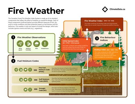 Exploring The New Fire Weather Projections App Through Three Mini Case