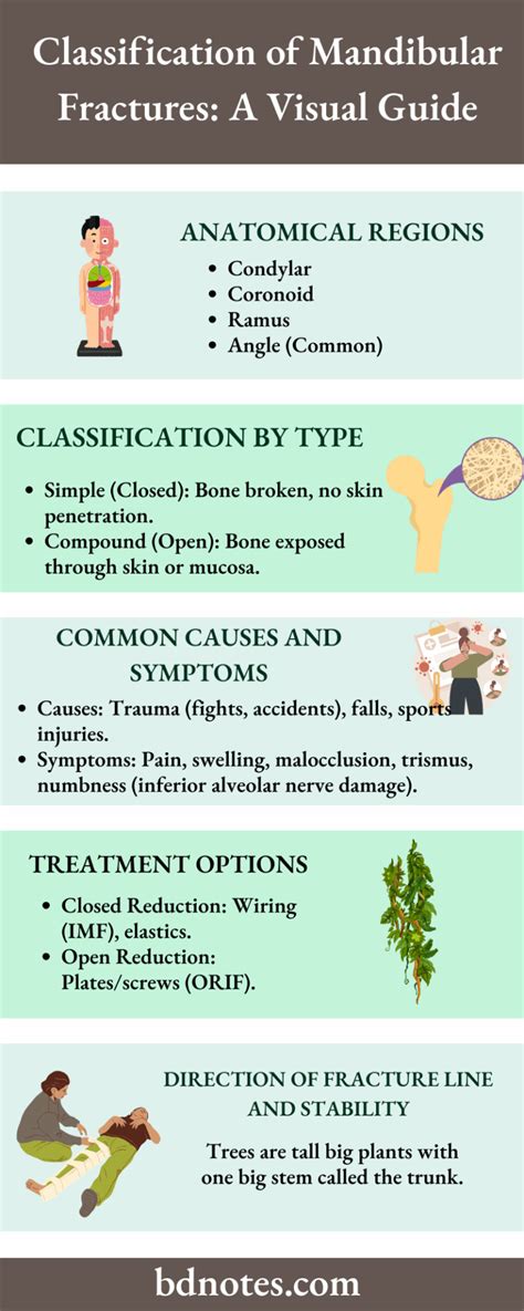 Different Types Of Mandibular Fractures Bds Notes