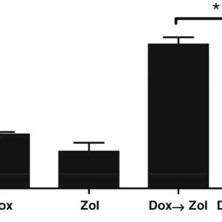 The Reversal Of The Apoptotic Evect Of Doxorubicin And Zoledronic Acid