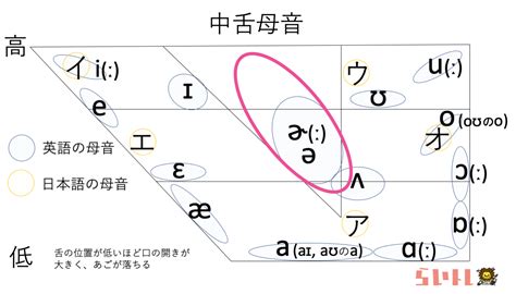 【アメリカ英語の全母音】発音＆発音記号の解説 | 上級英語ウェブメディア らいトレ