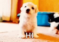 Puppy Dog GIF - Puppy Dog Wave - Discover & Share GIFs