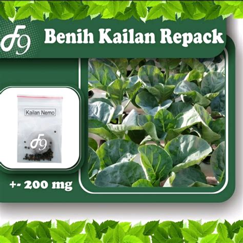 Jual Benih Bibit Sayuran Kailan Nemo Repack Bintang Asia Shopee