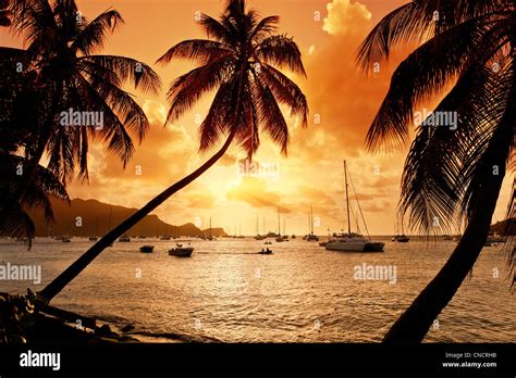 Port Elizabeth Bequia Island At Sunset Stock Photo Alamy