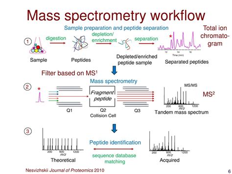 Ppt Mass Spectrometry Based Proteomics Powerpoint Presentation Free Download Id433696