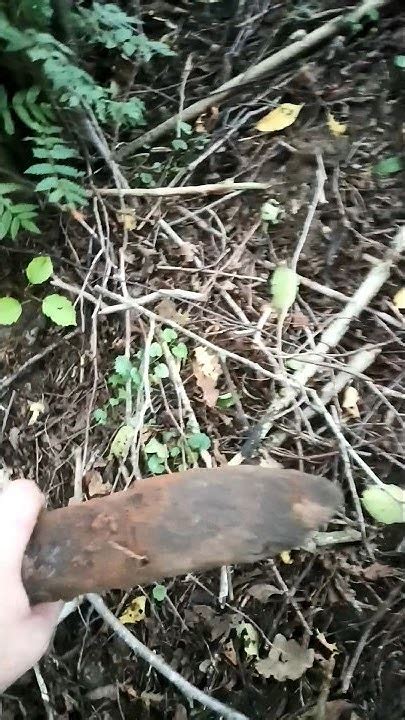 Зуб железного монстра ️👍👍👍🦾 #shots #st944 #железо #металлоискатель # ...