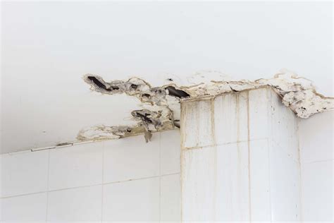 Help To Repair Your Water Damaged Ceiling Checkatrade