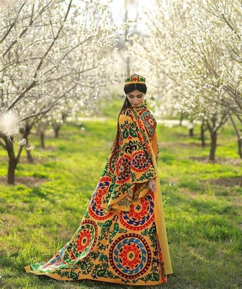 Pin by ANAHITA on tajiki dress | Traditional outfits, Fairytale fashion ...